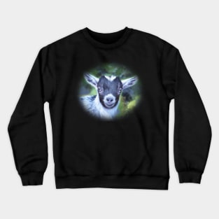 Portrait of a Goat - Pygmy Kid Crewneck Sweatshirt